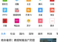 vip浏览器