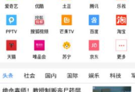 vip浏览器