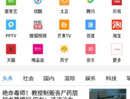 vip浏览器