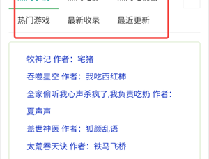 皮小宝