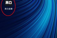 黑白体育直播
