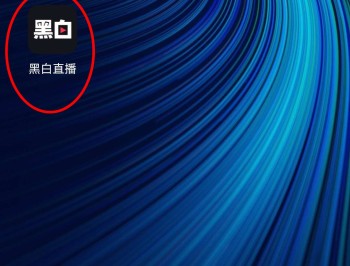黑白体育直播