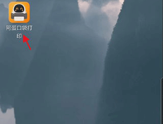 阿蛋口袋打印
