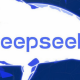 deepseek快速上手使用技巧指南