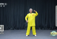 小熊猫TV