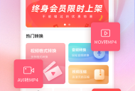 转转大师视频格式转换