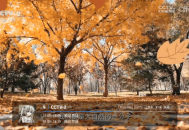 悠源直播