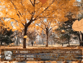 悠源直播