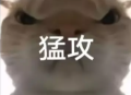 三角洲老飞宇表情包-三角洲老飞宇66鼠鼠表情包最新合集