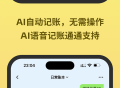 大赚一笔记账