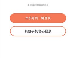 美时美颜